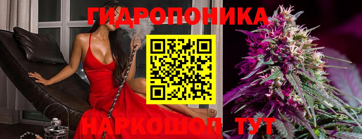 Сланцы  Марихуана тримм  Конопля семена  Вход с VPN 